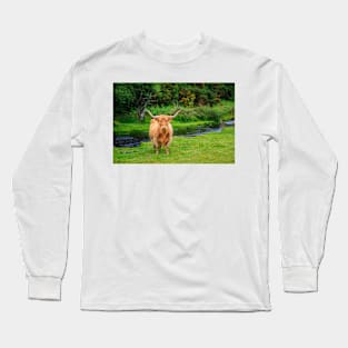 Highland Cow Long Sleeve T-Shirt